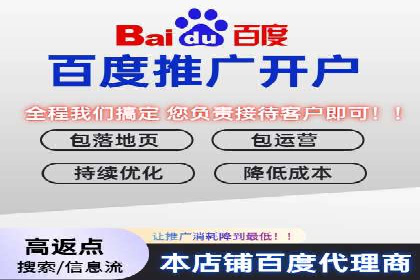 百度推广费用优化策略：成功案例分享